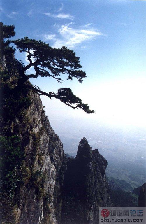 庐山迎客松.jpg