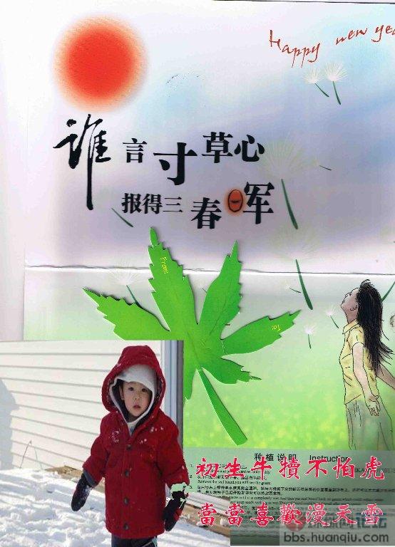 初生牛犊.jpg