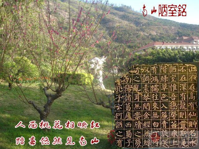 踏春.jpg