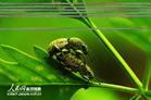 u=4126157916,2201428835&fm=4&gp=6.jpg