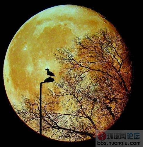 不容易拍到的动物瞬间14.jpg