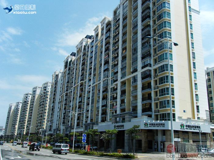 挺美的城市... 厦门1.jpg