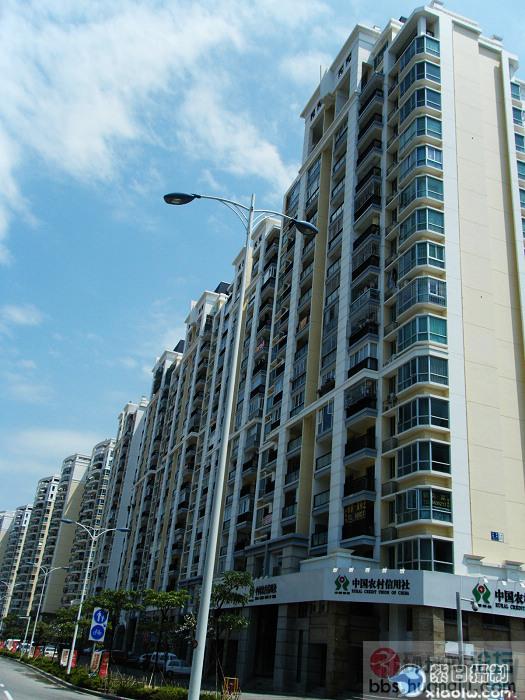 挺美的城市... 厦门2.jpg