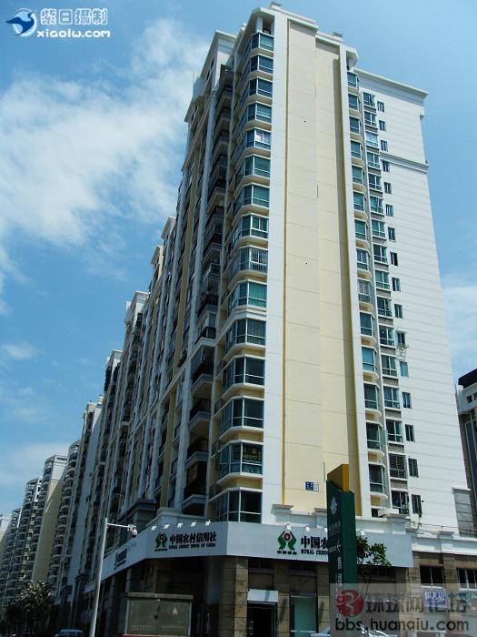 挺美的城市... 厦门3.jpg