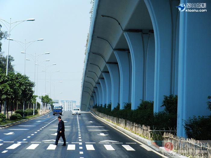 挺美的城市... 厦门4.jpg