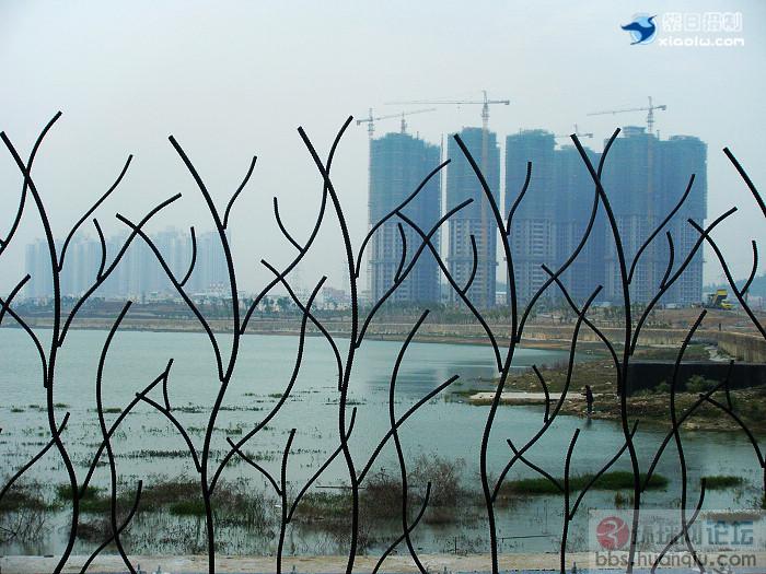 挺美的城市... 厦门74.jpg