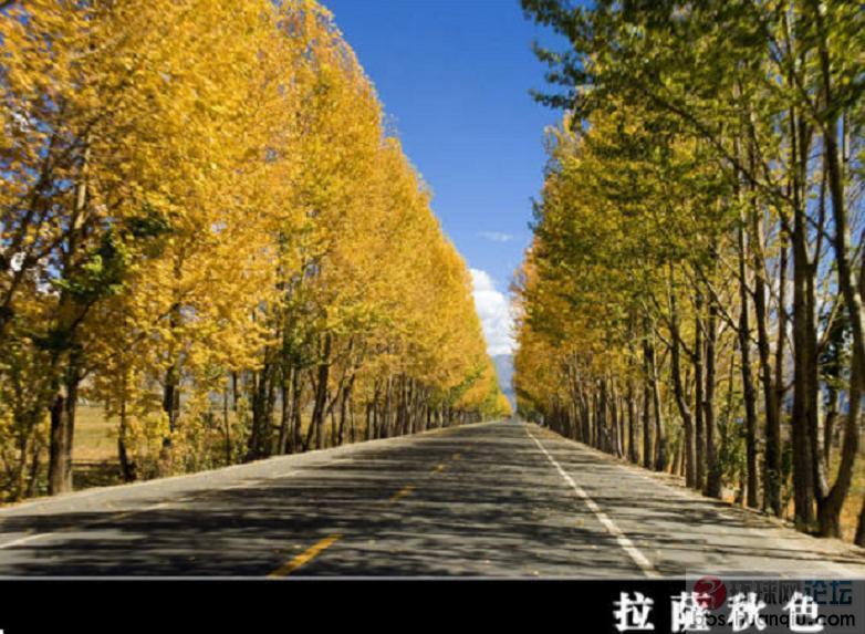 未命名la.JPG