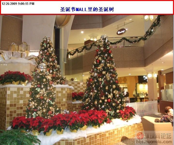 圣诞树.jpg