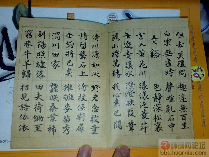 我的唐诗三百首(书法)