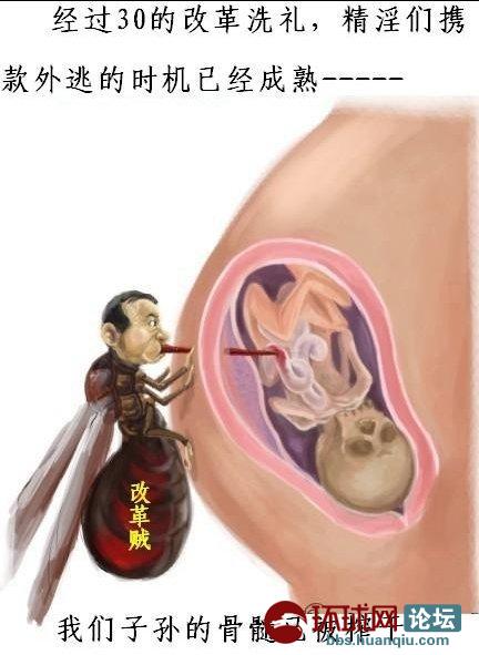 尹一鸿:白岩松为何浑身都发冷? - 第2页 - 纵论