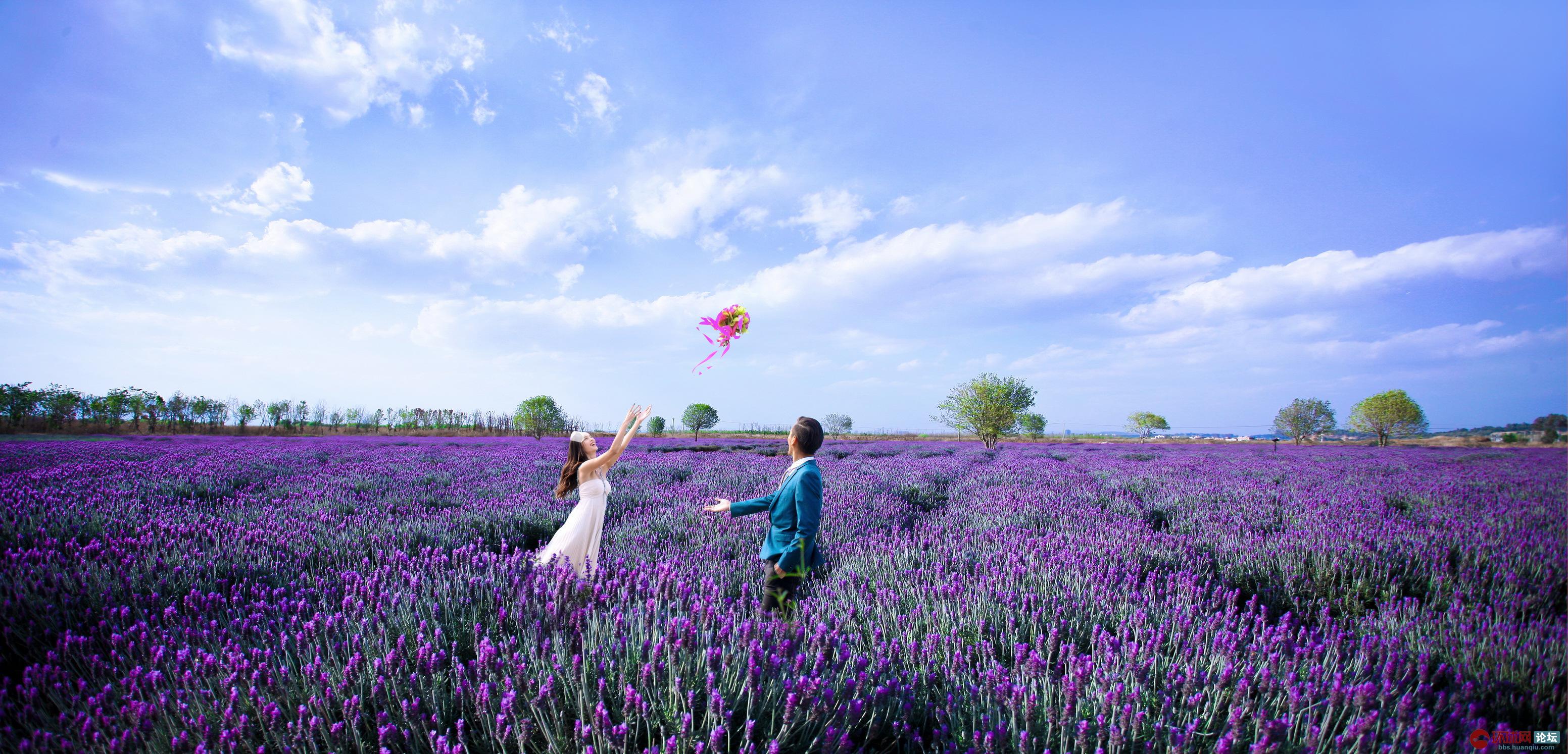 幸福有约花海唯美图片 - 图说世界