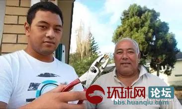 新西兰旅游_新西兰松_新西兰住院医生收入(2)