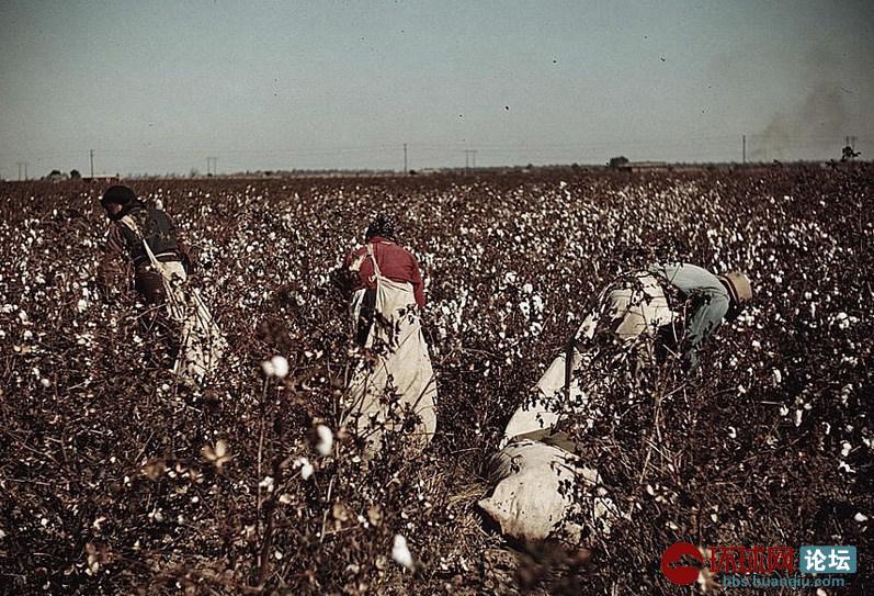 1939年美国经济_在1929年至1939年之间,全球性经济大衰退,美国大萧条时期的照片...(3)