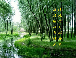 廉政屏保会让谁不好意思