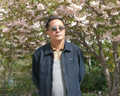 田一枫