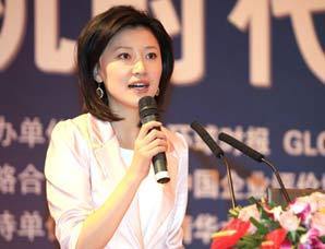 2010中国企业海外拓展峰会主持人
