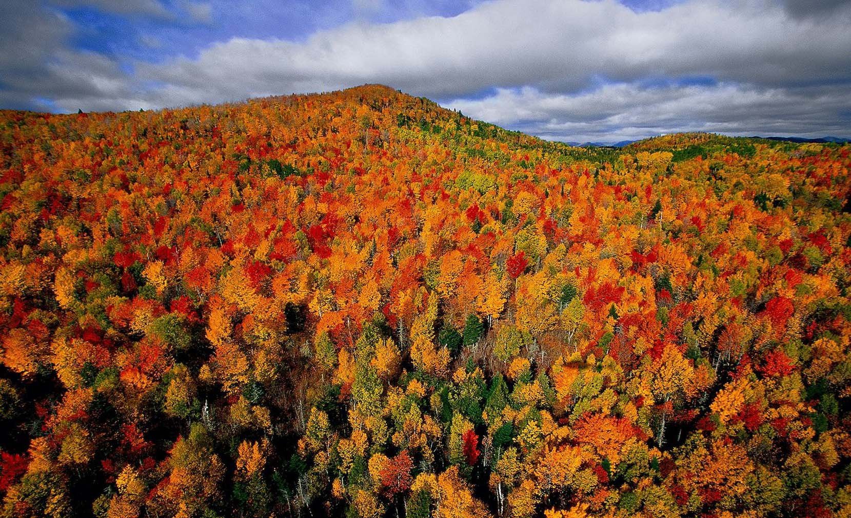 枫叶之国;+枫叶之国加拿大