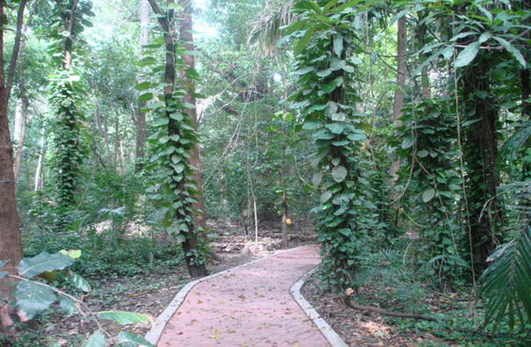 植物园_图斯特拉-古铁雷斯_墨西哥_环球旅行