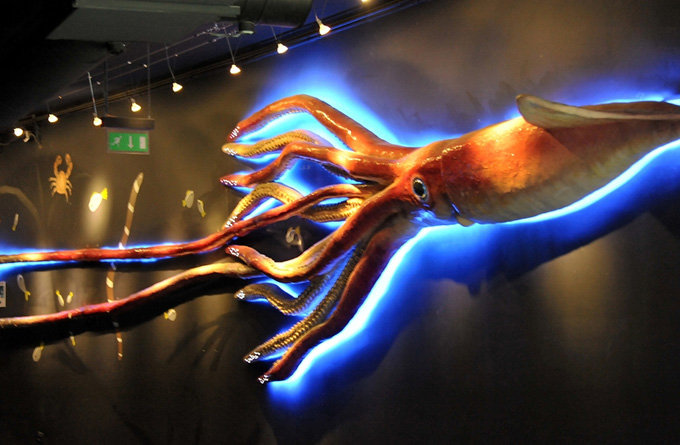 电影海洋馆_巴黎_法国_环球旅行_环球网