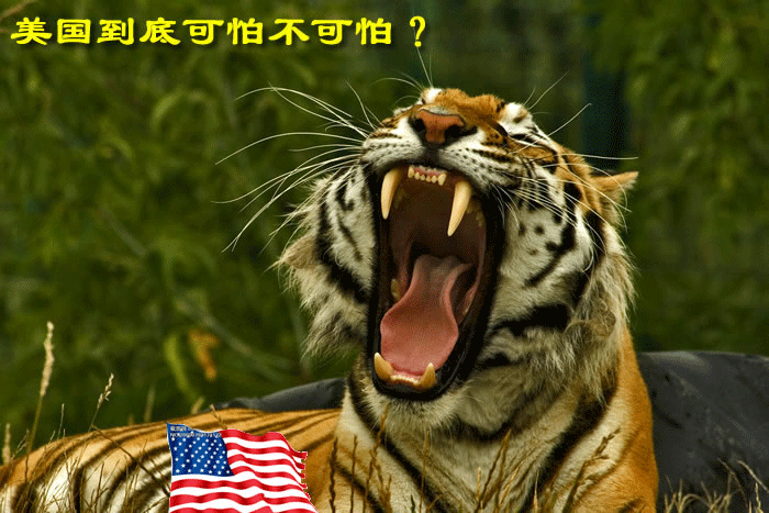 美帝的战略:明修栈道遏制中俄,暗渡陈仓肢解欧洲!