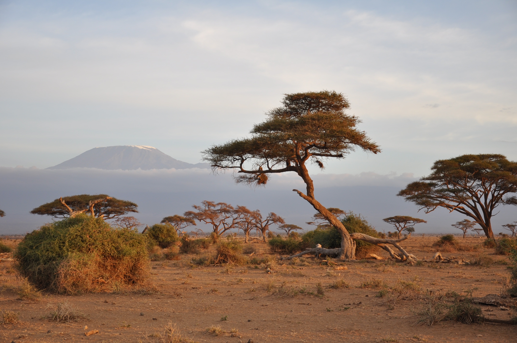 欢迎收看肯尼亚投资_肯尼亚现状_肯尼亚先令